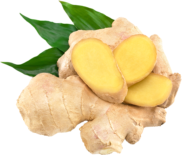 Download-Ginger-PNG-Clipart.png