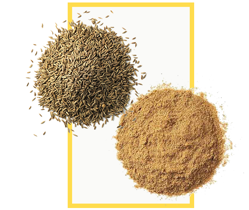 Cumin-center.png